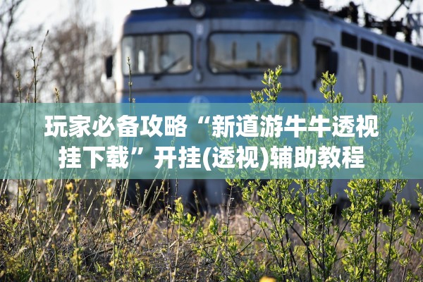 玩家必备攻略“新道游牛牛透视挂下载	”开挂(透视)辅助教程