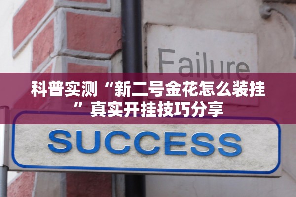 科普实测“新二号金花怎么装挂	”真实开挂技巧分享
