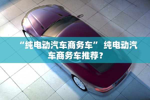 “纯电动汽车商务车	” 纯电动汽车商务车推荐？