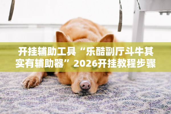 开挂辅助工具“乐酷副厅斗牛其实有辅助器	”2026开挂教程步骤