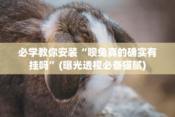 必学教你安装“呗兔真的确实有挂吗”(曝光透视必备猫腻)