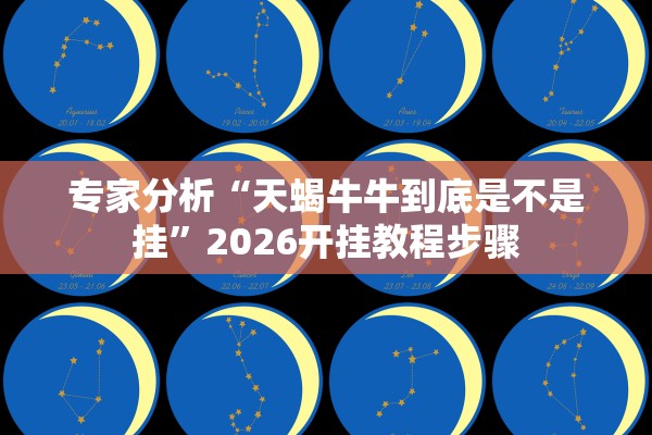专家分析“天蝎牛牛到底是不是挂	”2026开挂教程步骤