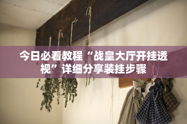今日必看教程“战皇大厅开挂透视”详细分享装挂步骤
