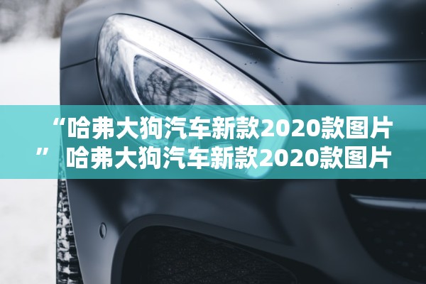 “哈弗大狗汽车新款2020款图片” 哈弗大狗汽车新款2020款图片及费用？