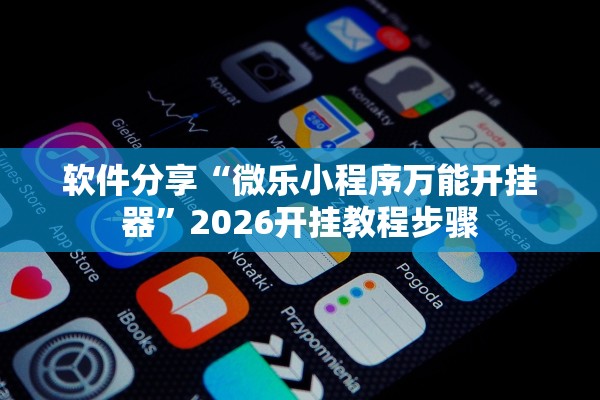 软件分享“微乐小程序万能开挂器”2026开挂教程步骤