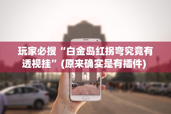 玩家必搜“白金岛红拐弯究竟有透视挂”(原来确实是有插件) 