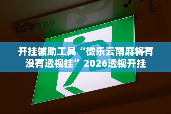 开挂辅助工具“微乐云南麻将有没有透视挂”2026透视开挂