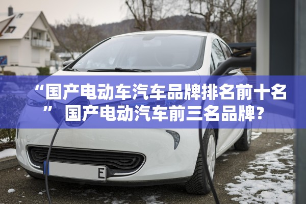 “国产电动车汽车品牌排名前十名” 国产电动汽车前三名品牌？