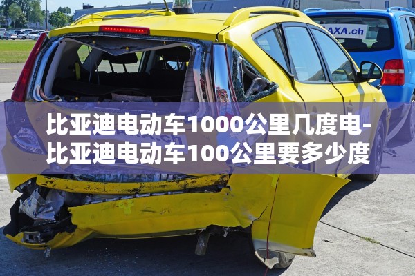 比亚迪电动车1000公里几度电-比亚迪电动车100公里要多少度电