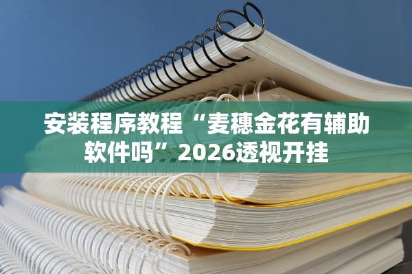 安装程序教程“麦穗金花有辅助软件吗	”2026透视开挂