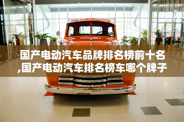 国产电动汽车品牌排名榜前十名,国产电动汽车排名榜车哪个牌子好