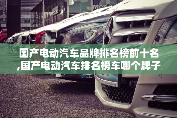 国产电动汽车品牌排名榜前十名,国产电动汽车排名榜车哪个牌子好