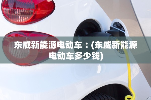 东威新能源电动车︰(东威新能源电动车多少钱) 东威新能源电动车︰(东威新能源电动车多少钱)