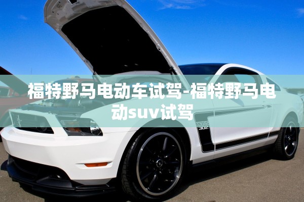 福特野马电动车试驾-福特野马电动suv试驾