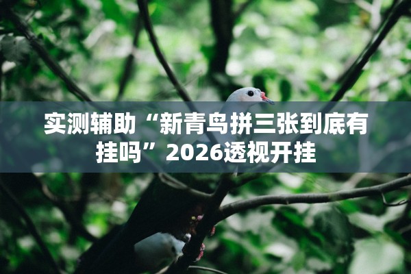 实测辅助“新青鸟拼三张到底有挂吗”2026透视开挂
