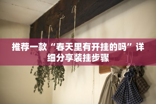 推荐一款“春天里有开挂的吗”详细分享装挂步骤