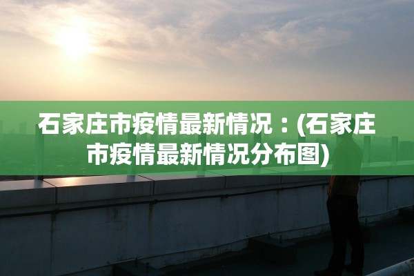 石家庄市疫情最新情况︰(石家庄市疫情最新情况分布图)