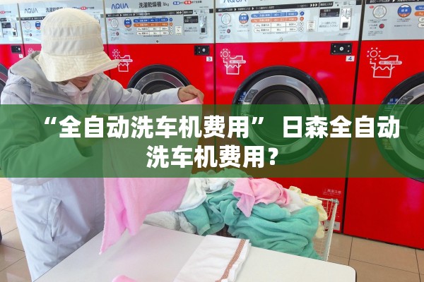 “全自动洗车机费用” 日森全自动洗车机费用？