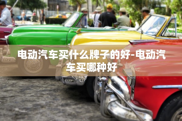 电动汽车买什么牌子的好-电动汽车买哪种好