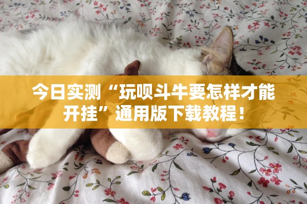 今日实测“玩呗斗牛要怎样才能开挂”通用版下载教程！