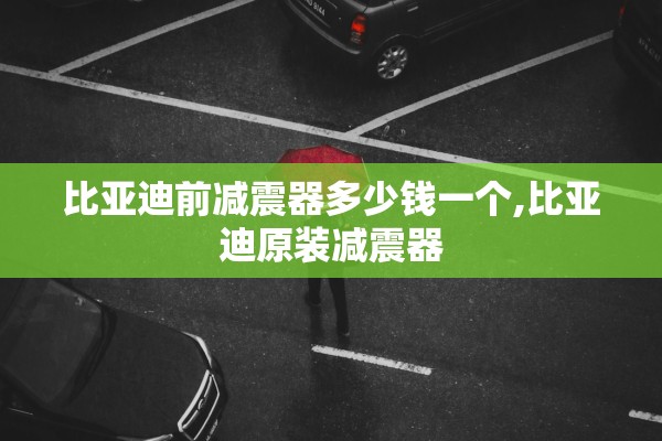 比亚迪前减震器多少钱一个,比亚迪原装减震器