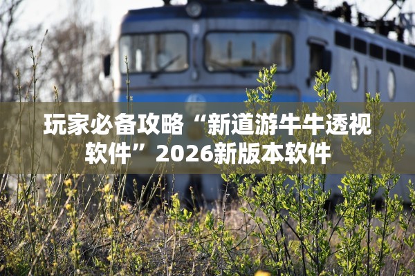 玩家必备攻略“新道游牛牛透视软件”2026新版本软件