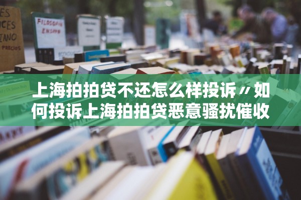 上海拍拍贷不还怎么样投诉〃如何投诉上海拍拍贷恶意骚扰催收电话