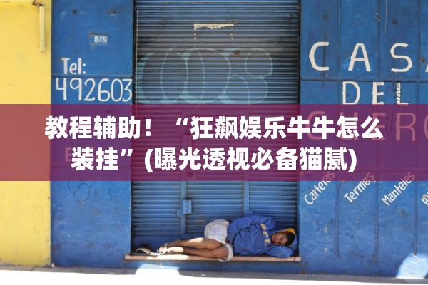 教程辅助！“狂飙娱乐牛牛怎么装挂”(曝光透视必备猫腻)