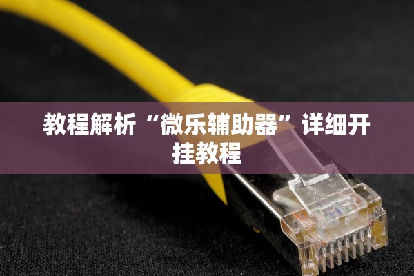 教程解析“微乐辅助器	”详细开挂教程