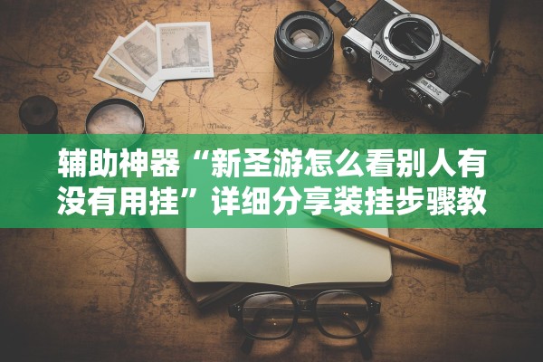 辅助神器“新圣游怎么看别人有没有用挂”详细分享装挂步骤教程