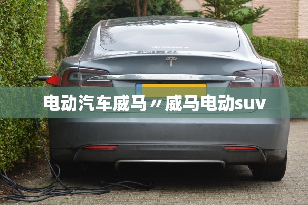 电动汽车威马〃威马电动suv