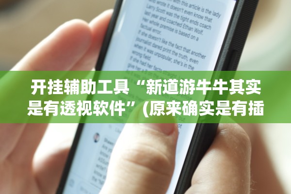 开挂辅助工具“新道游牛牛其实是有透视软件”(原来确实是有插件) 