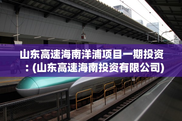 山东高速海南洋浦项目一期投资︰(山东高速海南投资有限公司)