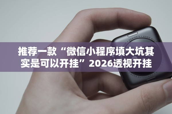 推荐一款“微信小程序填大坑其实是可以开挂”2026透视开挂
