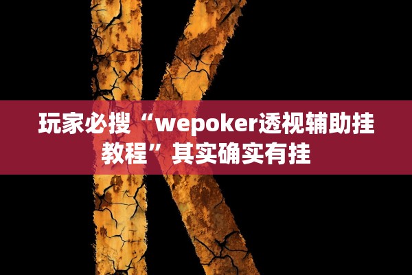 玩家必搜“wepoker透视辅助挂教程”其实确实有挂
