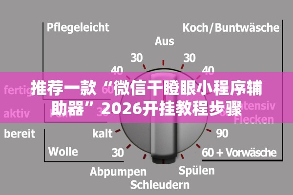 推荐一款“微信干瞪眼小程序辅助器”2026开挂教程步骤