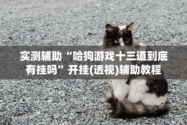 实测辅助“哈狗游戏十三道到底有挂吗	”开挂(透视)辅助教程