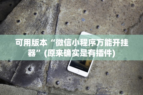 可用版本“微信小程序万能开挂器	”(原来确实是有插件)
