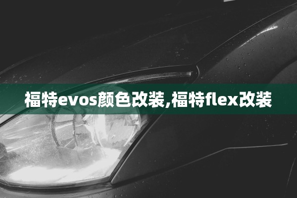 福特evos颜色改装,福特flex改装