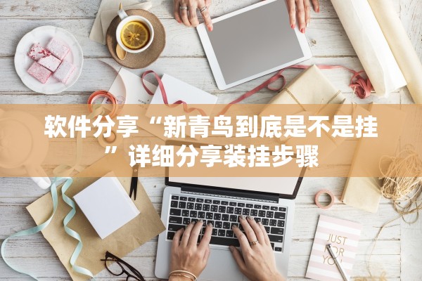 软件分享“新青鸟到底是不是挂”详细分享装挂步骤
