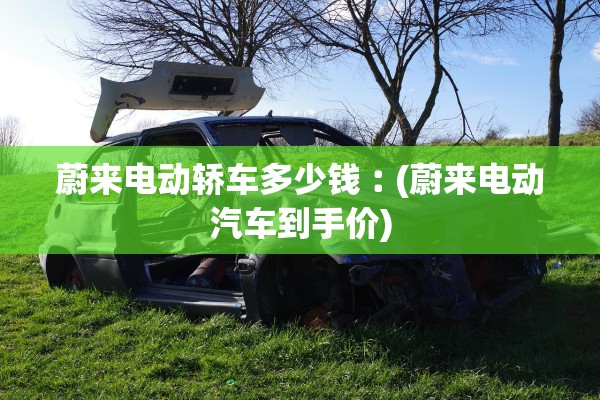 蔚来电动轿车多少钱︰(蔚来电动汽车到手价) 蔚来电动轿车多少钱︰(蔚来电动汽车到手价)