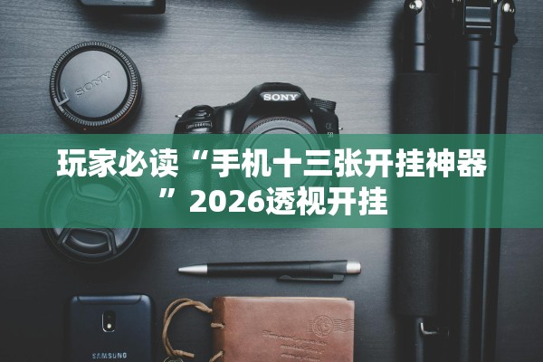 玩家必读“手机十三张开挂神器”2026透视开挂