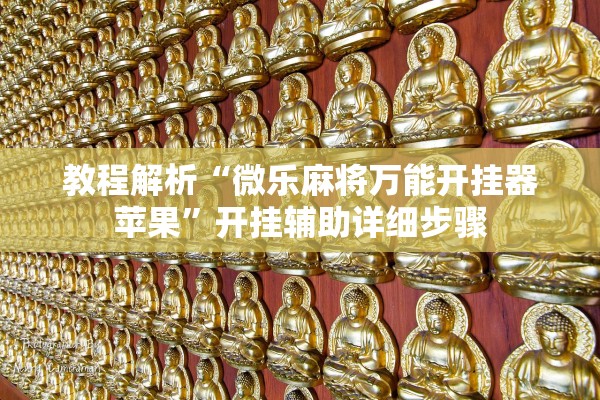 教程解析“微乐麻将万能开挂器苹果”开挂辅助详细步骤