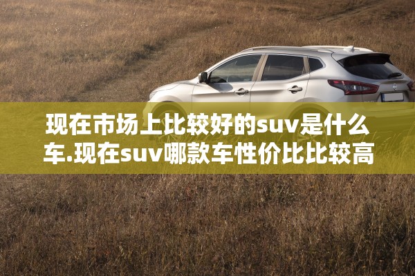 现在市场上比较好的suv是什么车.现在suv哪款车性价比比较高 现在市场上比较好的suv是什么车.现在suv哪款车性价比比较高