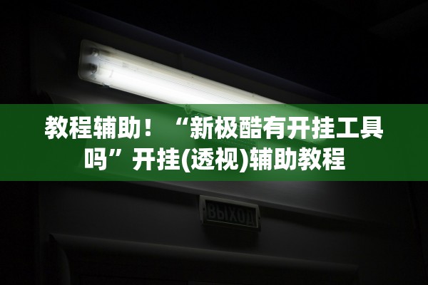 教程辅助！“新极酷有开挂工具吗”开挂(透视)辅助教程