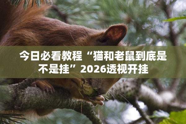 今日必看教程“猫和老鼠到底是不是挂	”2026透视开挂
