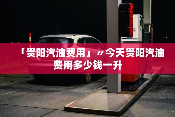 「贵阳汽油费用」〃今天贵阳汽油费用多少钱一升 「贵阳汽油费用」〃今天贵阳汽油费用多少钱一升