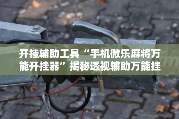 开挂辅助工具“手机微乐麻将万能开挂器”揭秘透视辅助万能挂用法