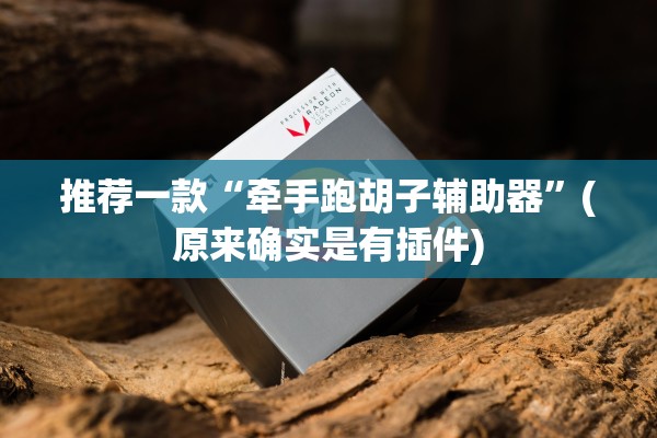 推荐一款“牵手跑胡子辅助器	”(原来确实是有插件)