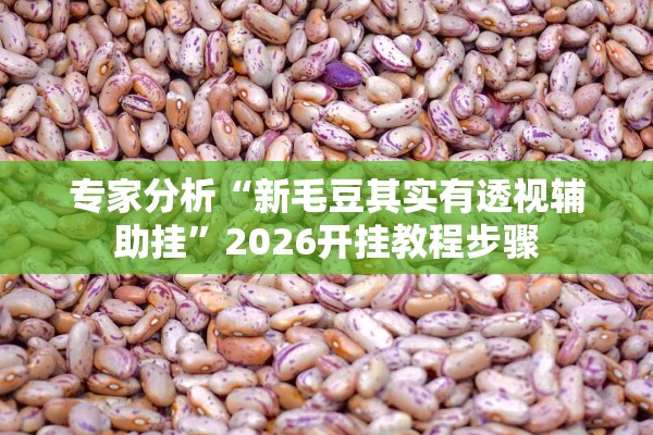 专家分析“新毛豆其实有透视辅助挂”2026开挂教程步骤
